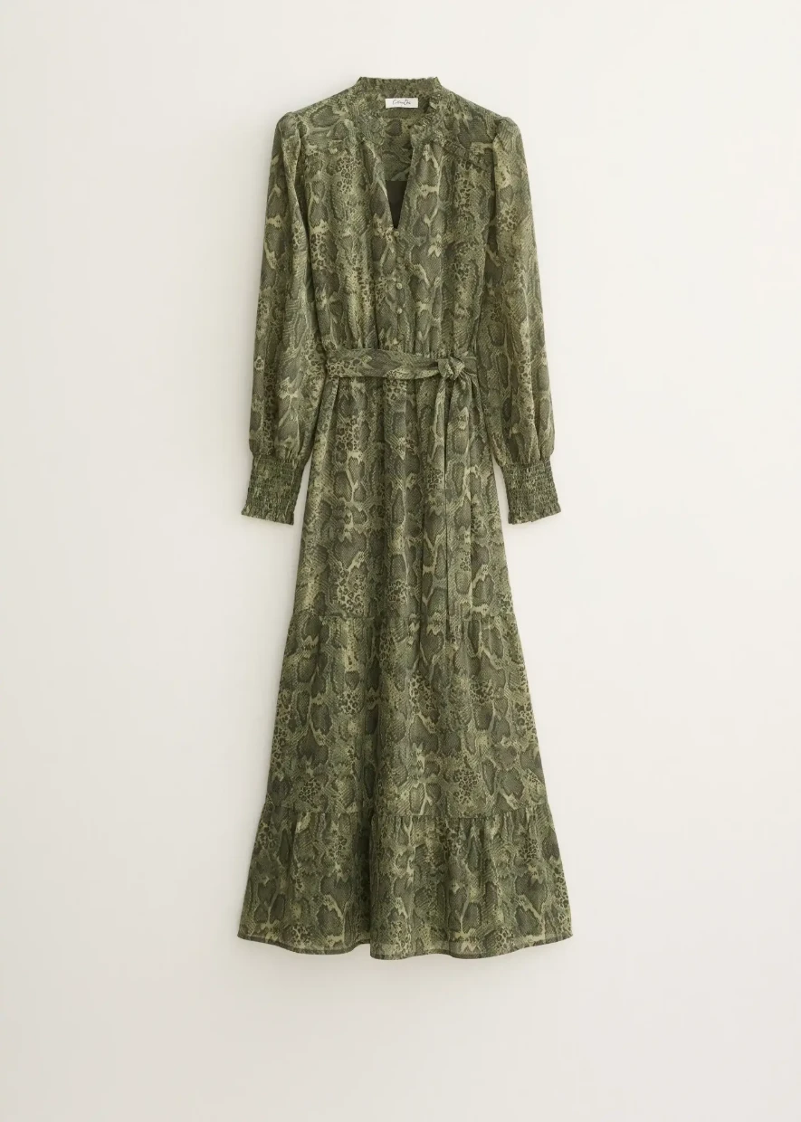 Picture of Snake Print Maxi Dress