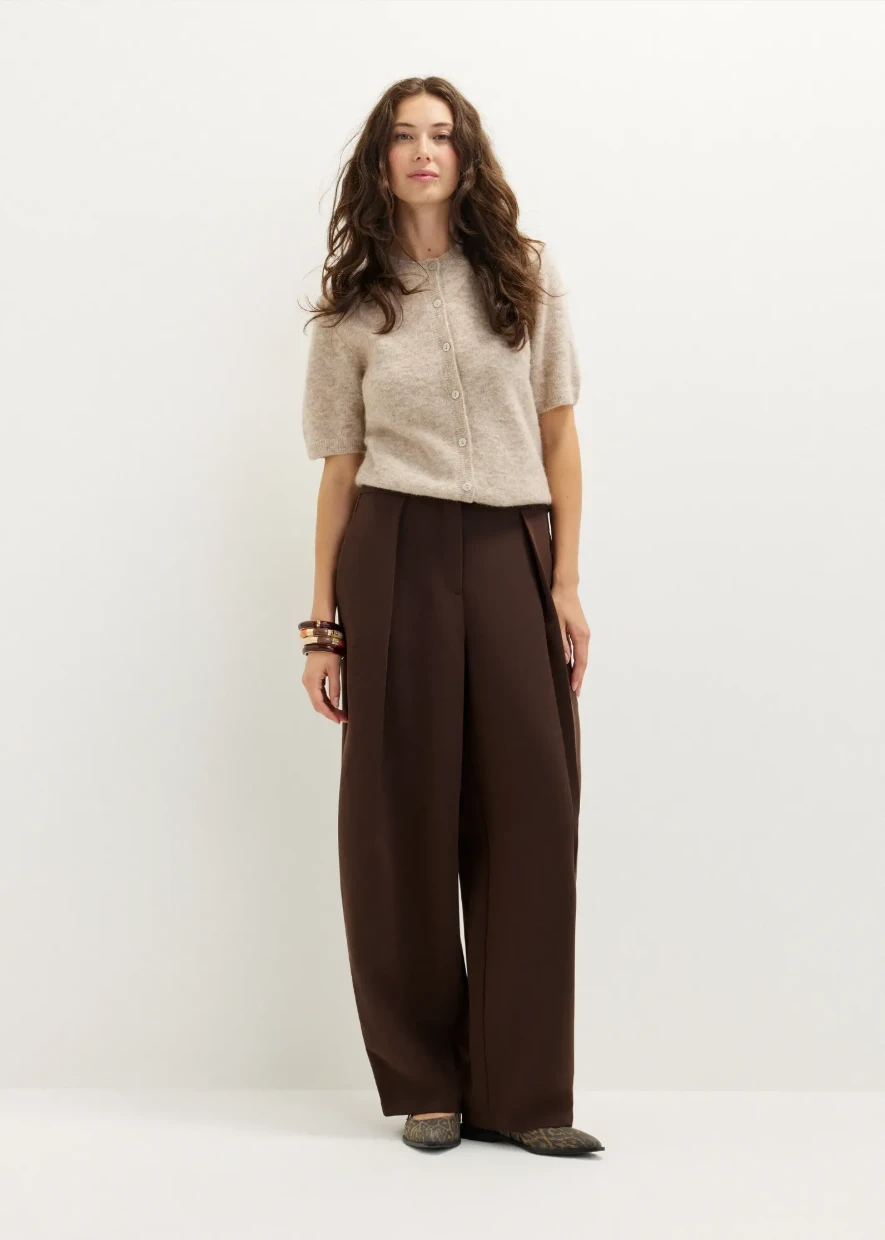 Picture of Pleated Wide-Leg Pants